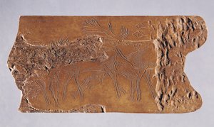 Reinsdyrhorn skåret med hjort og springende laks, fra Grotte de Lortet, Magdalenian, 15000-18000 f.Kr. (horn)